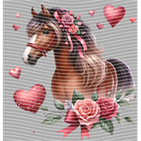 Valentine's Day-QRJ  5862